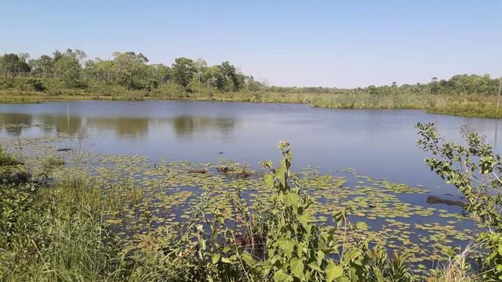 Además de ordenar la restauración de un río, sentencia establece un modelo de reparación integral y justicia para comunidades indígenas